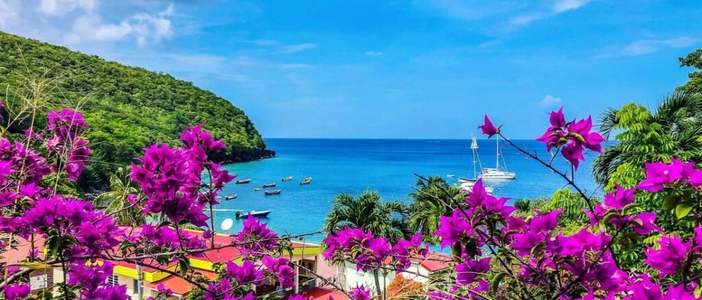 Bougainvillea flowers overlooking Martinique harbor with sailboats, turquoise water, and tropical coastline.