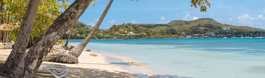 Sainte-Anne beach in Martinique with palm trees, calm turquoise water, sandy shore, and tropical hills in the distance
