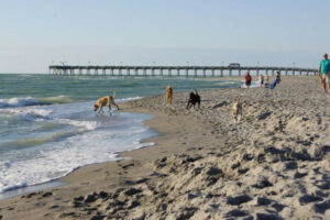 Brohard Beach & Paw Park, Sarasota Florida, best Sarasota Beaches, Visit Beautiful Sarasota Florida Beaches