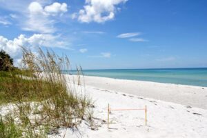 North Lido Beach, Sarasota Florida, best Sarasota Beaches, Visit Beautiful Sarasota Florida Beaches
