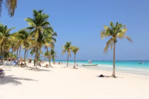 Playa Paraiso, The Best Beaches of the Maya Riviera