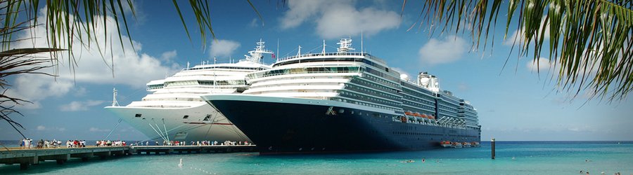 Two cruise ships docked side-by-side in crystal-clear Caribbean water surrounded by palm leaves.