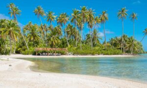 Ahe, The Tuamotus, French Polynesia, The Best French Polynesian Islands