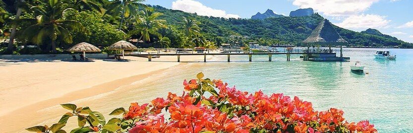 Tropical beach in French Polynesia with colorful flowers, lagoon, and wooden pier