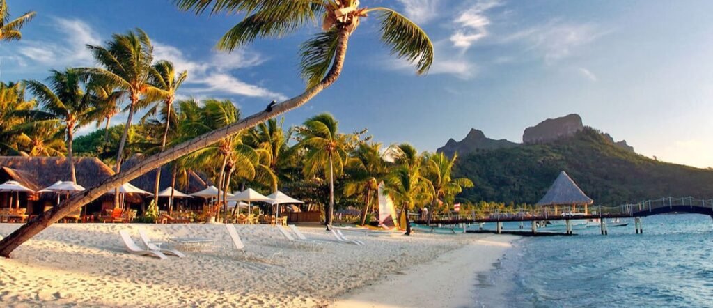 Palm trees and white sand beach in French Polynesia with lagoon and mountain backdrop