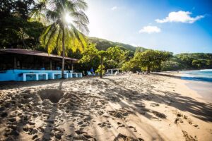 Cormier Plage Haiti, Greater Antilles, The Best Beaches of the Greater Antilles