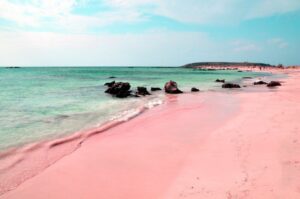 This image has an empty alt attribute; its file name is Pink-Sands-Beach-300x199.jpg