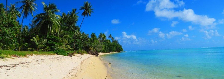 Palm-lined white sand beach with clear turquoise water at Avea Bay in Huahine, French Polynesia
