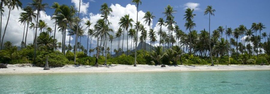 Opoa Beach in Raiatea with tall palm trees, white sand, and clear turquoise lagoon