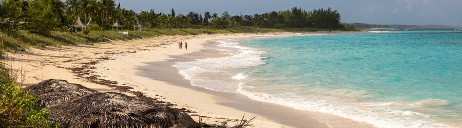 Wide view of a quiet pink sand beach in the Bahamas with calm turquoise water and palm trees in the distance.
