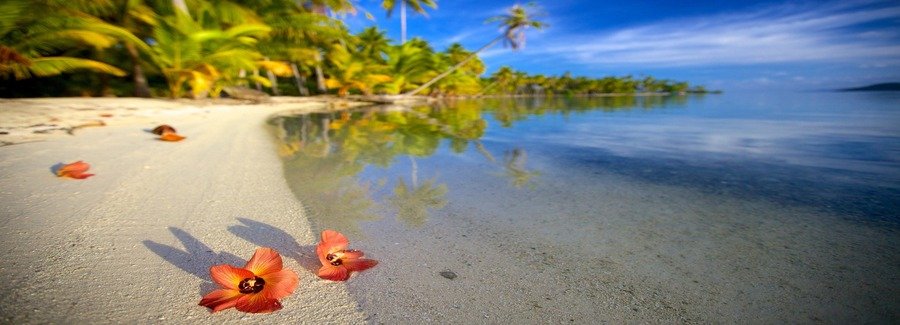 Tropical beach in Raiatea with clear lagoon water, palm trees, and red flowers on the sand