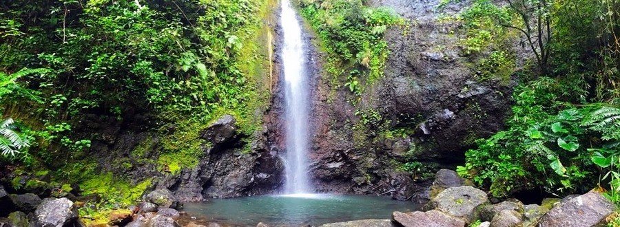 Waterfall in Raiatea surrounded by lush jungle with a natural pool at the base