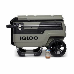 Igloo 70 Qt Premium Trailmate Wheeled Rolling Cooler, The Best Beach Coolers, Best Beach Gear