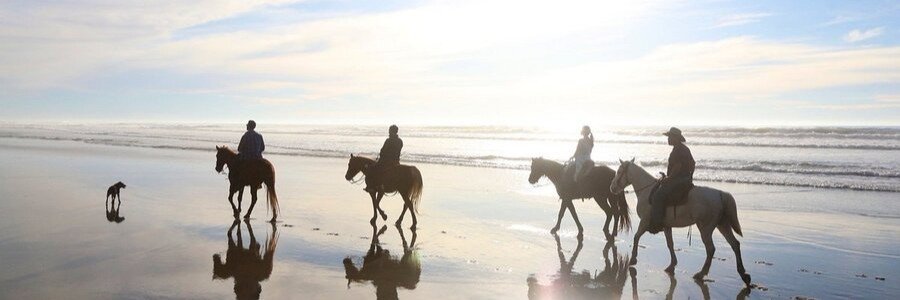 Horseback riders traveling along Ensenada beaches at sunset with waves rolling in and reflections on wet sand, showing a scenic coastal activity with silhouettes of riders and horses against a glowing sky in Baja California