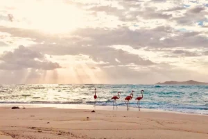 Playa Sisal, Yucatan, The Most Amazing Beaches of Mexico, The Most Amazing Beach Hotels in Mexico