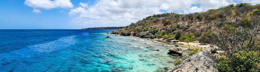 Rocky coastline and clear shallow water along Curacao’s rugged shore with coral tones and deep blue sea.