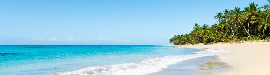 Palm-fringed shoreline and turquoise water at Love Beach in Nassau.