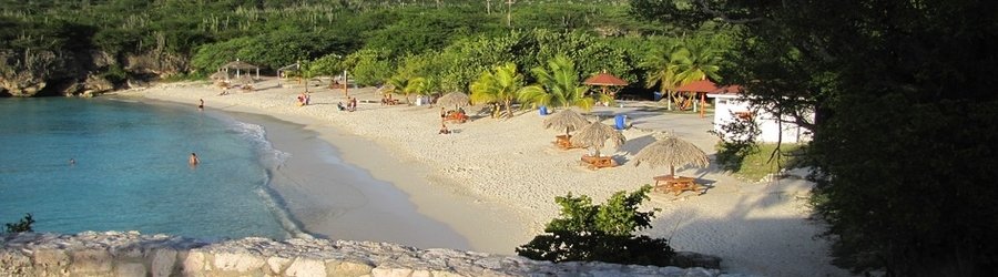 White sand beach with palapas, calm blue water, and tropical greenery along Curacao’s coastline.