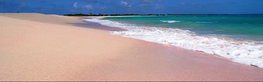 Pink sand beach in Barbuda Antigua with turquoise Caribbean water