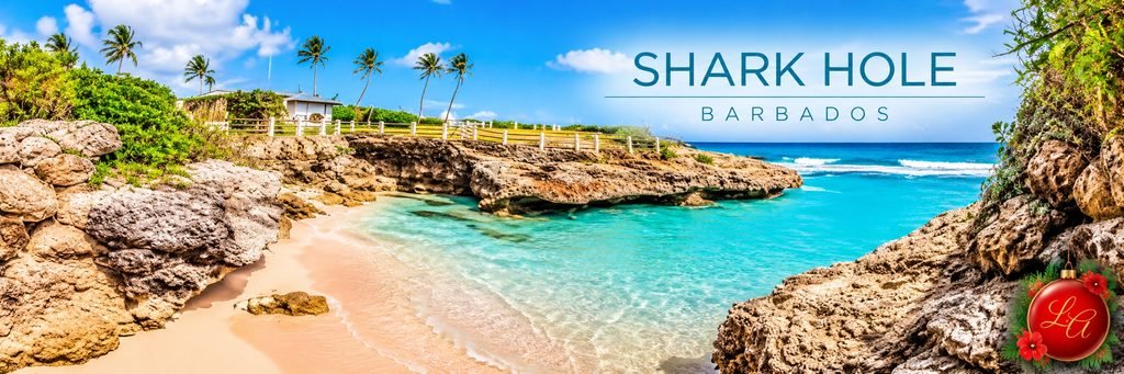 Shark Hole beach in Barbados with turquoise Caribbean water, rugged limestone cliffs, golden sand, and palm trees along the coastline.