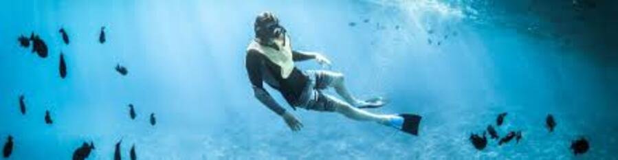 Snorkeling in Antigua and Barbuda clear Caribbean water tropical fish marine life