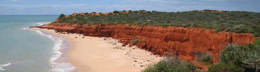 Red coastal cliffs meeting soft white sand and bright turquoise water along the shoreline in Shark Bay.