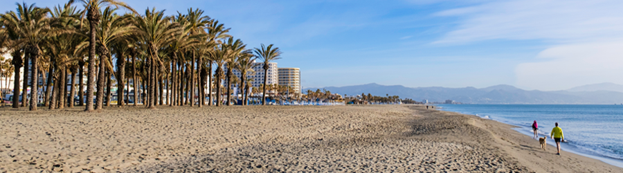 Playa de Torremolinos Malaga Spain beach with palm trees and wide sandy shoreline