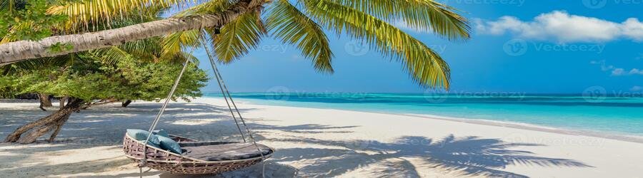 White sand beach in the Maldives with palm trees, turquoise water, and a quiet tropical shoreline