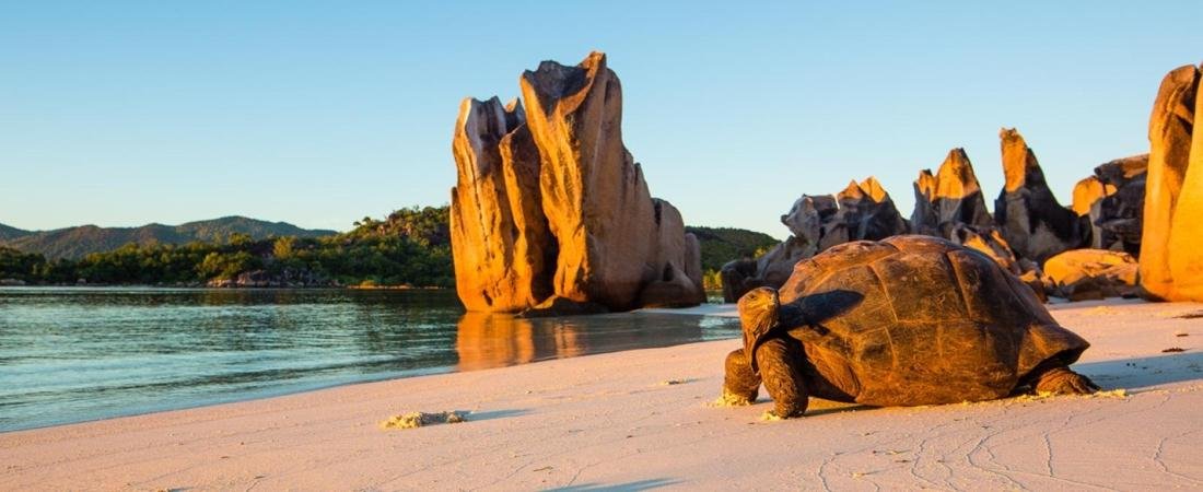 Beach Travel Destinations