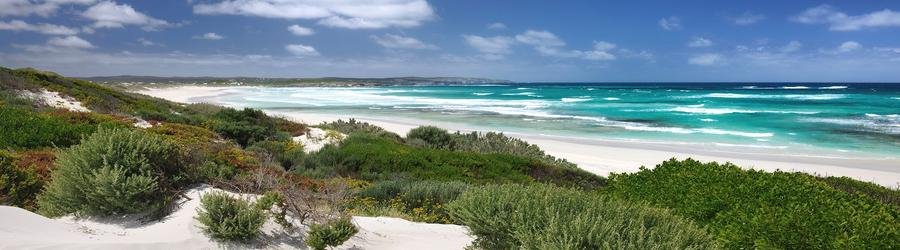 Clifftop road overlooking turquoise ocean and rugged coastline on Kangaroo Island.