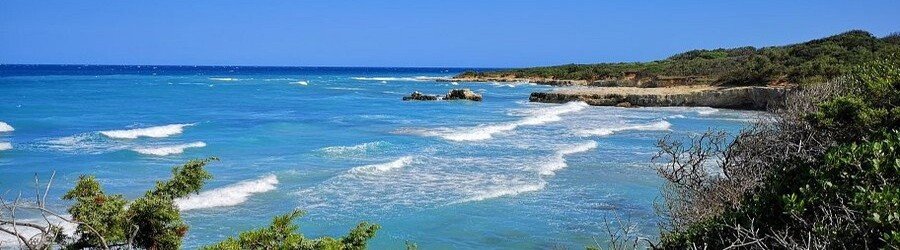 Panoramic view of the Puglia coastline with turquoise water, rocky shore, and lush greenery