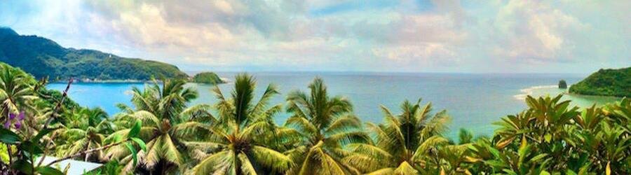 Palm-lined coast with ocean views in American Samoa.