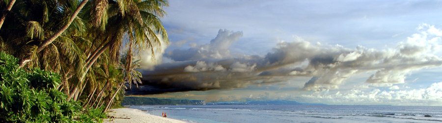Remote beach with leaning palms and cloudy sky.