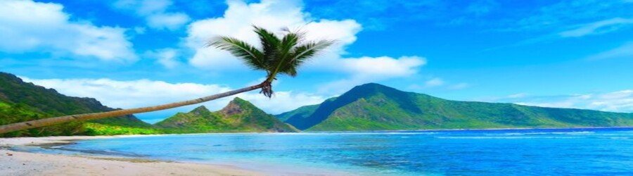 Palm-lined coast with ocean views in American Samoa.