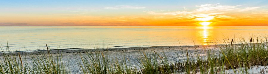 Golden sunset over the peaceful Anna Maria Island Florida coast with sea oats and white sand.
