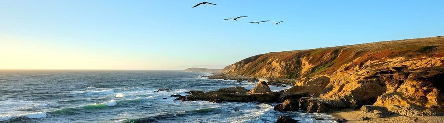 Rocky shoreline and rolling waves along the rugged Bodega Bay coast in Sonoma County.