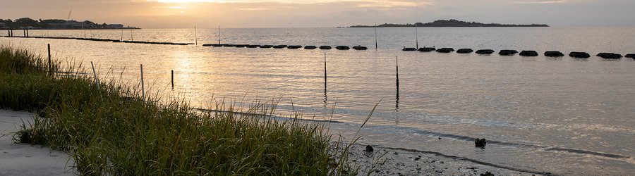 Calm bay waters and sea grass along Cedar Key Florida’s coast