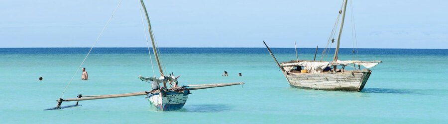 A glimpse of daily life in rural Madagascar, where villagers walk among ancient baobab giants.