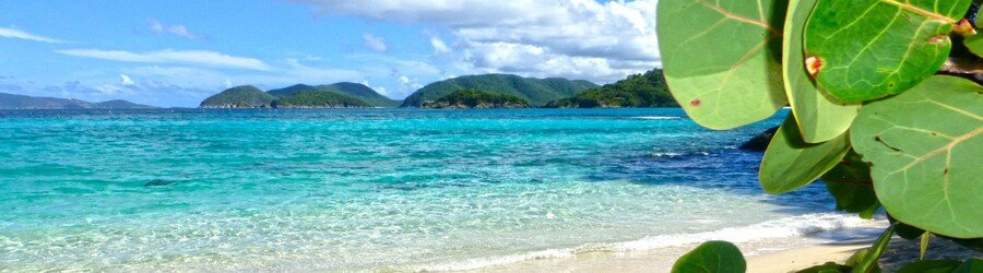Palm-lined beach and turquoise waves near Key West, gateway to Dry Tortugas National Park.
