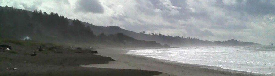Windy beach in Del Norte County with waves, misty skies, and forested hills in the distance.