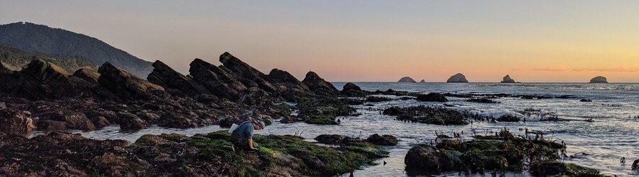 Sunset over tide pools and rocky shoreline along the Oregon Coast.