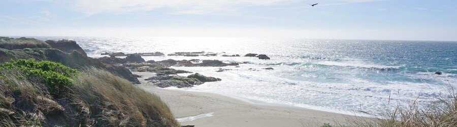 Coastal trail leading to a sandy beach with rocky outcroppings in Sonoma County.