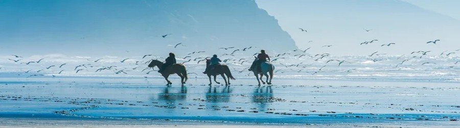 Horseback riders along the shoreline with seabirds and ocean reflections in Del Norte County, California.