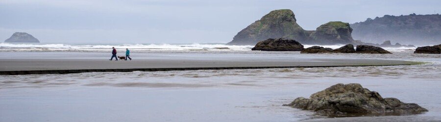 Wide sandy beach with offshore sea stacks and people walking a dog on a misty Humboldt County morning.