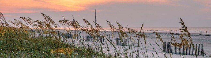 Hilton Head Island beach at sunset with sea oats