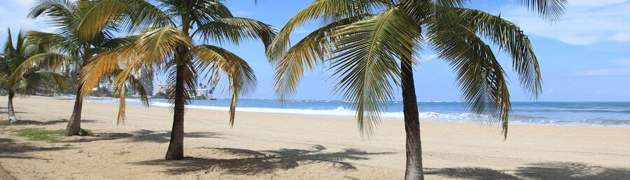 Isla Verde Beach Puerto Rico with palm trees and soft golden sand