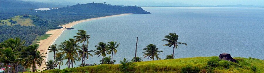 Elevated coastal view of San Vicente Palawan with palm trees, rolling hills, and a long sandy beach