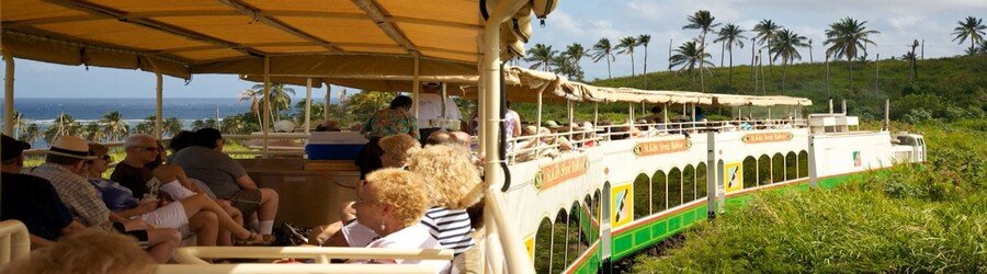 st-kitts-scenic-railway-shore-excursion