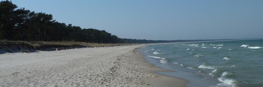 Schaabe Beach on Rügen Island Germany with sandy Baltic Sea shoreline and coastal forest dunes.