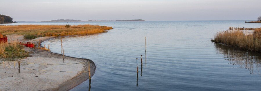 Calm Bodden lagoon shoreline near Putbus on Rügen Island